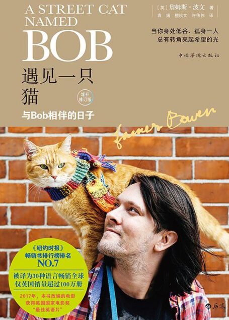 遇见一只猫:与Bob相伴的日子