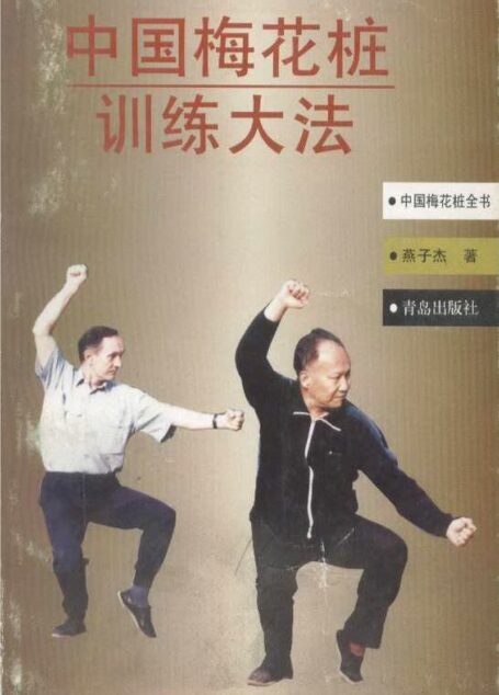 中国梅花桩训练大法