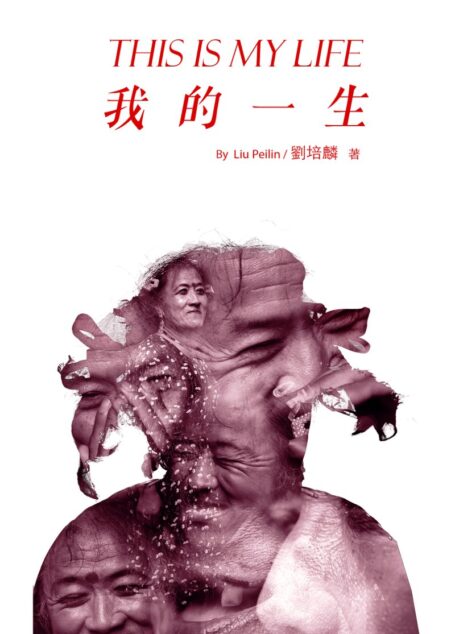 我的一生:刘培麟日记