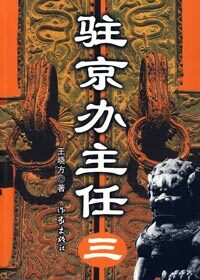驻京办主任 3