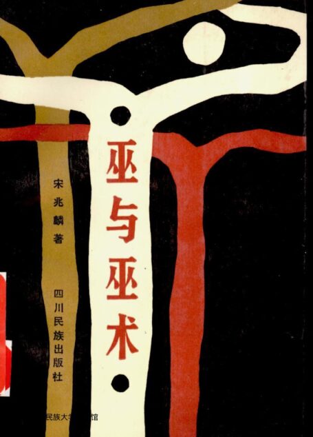 巫与巫术 书.