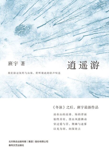 逍遥游（《冬泳》之后，班宇蕞新作品，书写被生活缓慢消耗的我们，那些真实的困顿与挣扎，穿过爱与苦，荆棘与烟雾，以光为羽，向深处去 理想国出品）