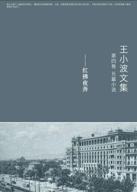 王小波文集.第四卷