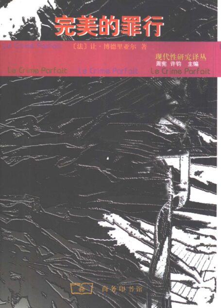 完美的罪行