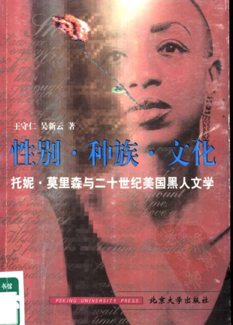 性别·种族·文化 托妮·莫里森与美国二十世纪黑人文学