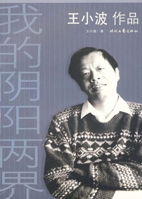 我的阴阳两界