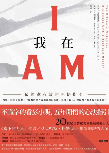 我在 I AM：最簡潔有效的開悟指引