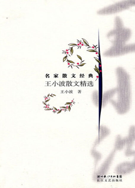 王小波散文精选