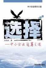 选择:中小企业运筹之道