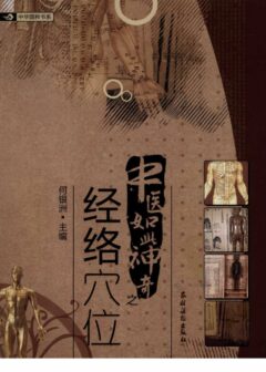 中医如此神奇之经络穴位(高清版)