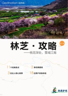 我是驴友-林芝旅游攻略