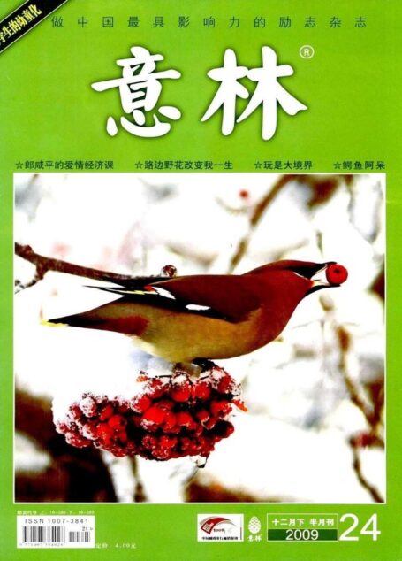 意林 2009第24期