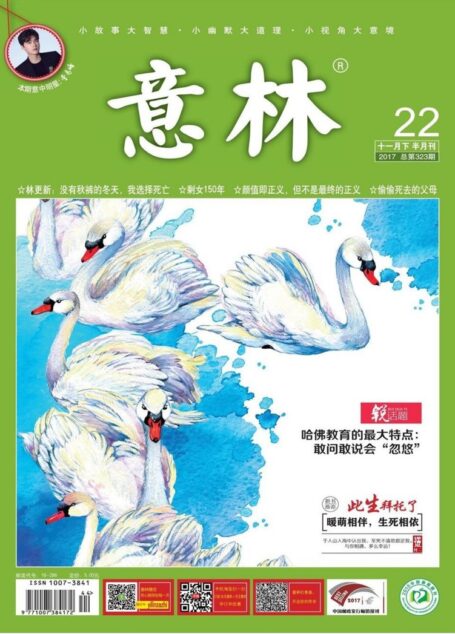 意林 2017年22期