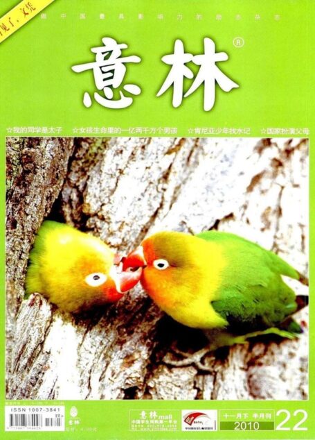意林 2010第22期