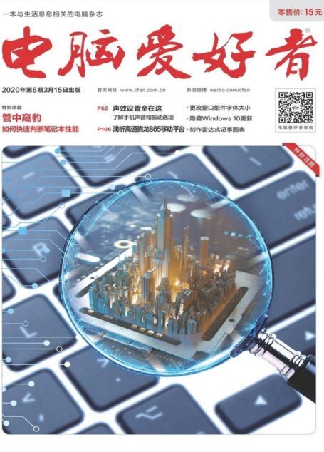电脑爱好者 2020年06期