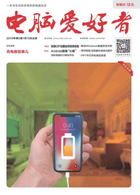 电脑爱好者 2019年02期