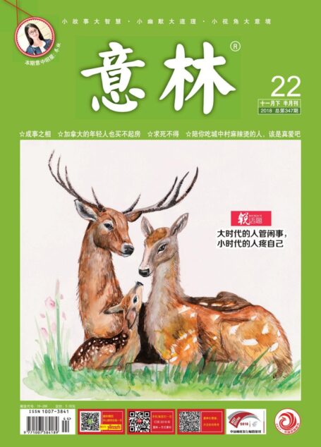 意林 2018第22期