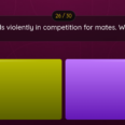 user69552_265
