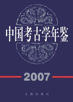 中国考古学年鉴2007