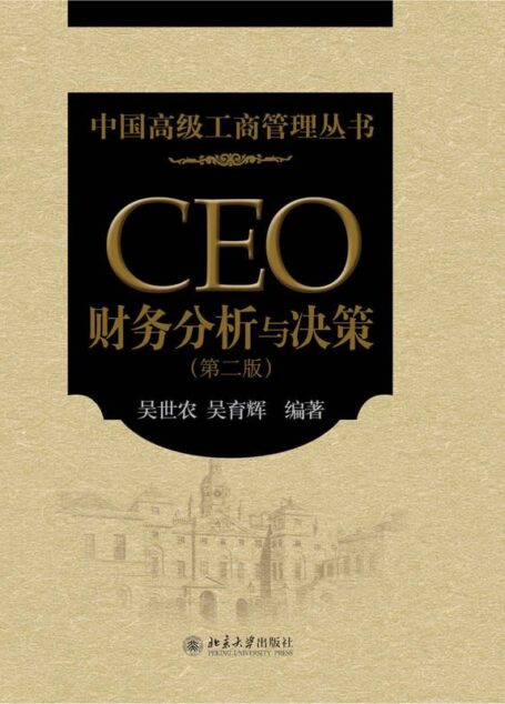 CEO财务分析与决策（第2版） (中国高级工商管理丛书)