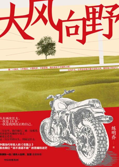 大风向野(这届年轻人在烦恼什么?有关孤独,抉择,爱情,自我。成长是一场大风,谁都无法逃脱.张一白、赵照、赵雷力荐!)