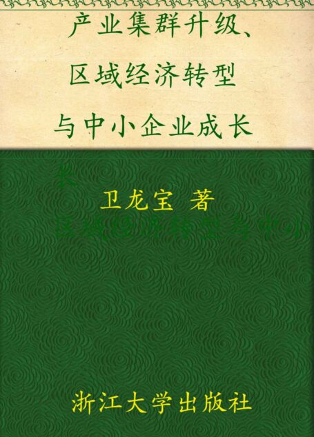 产业集群升级、区域经济转型与中小企业成长:基于浙江特色产业集群案例的研究 (全球浙商研究丛书)