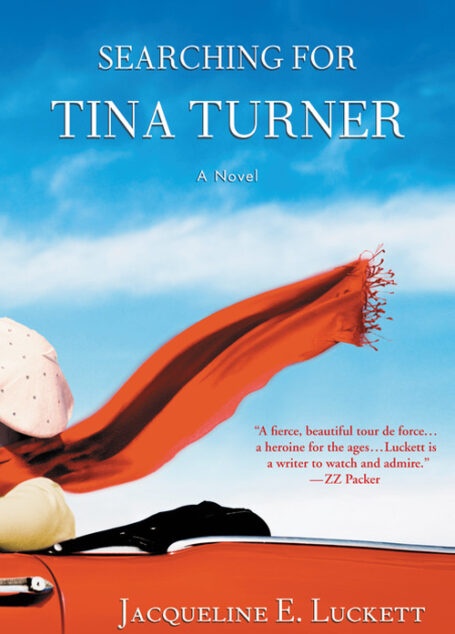 Searching for Tina Turner