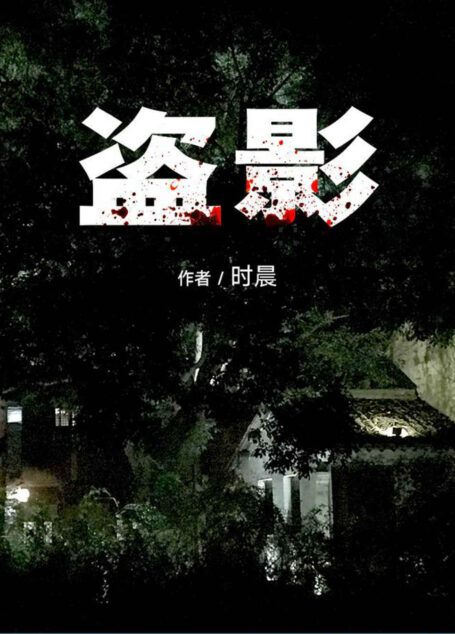盗影(因一部含有杀人视频的手机,卷进警察和真凶的双重追捕!亡命天涯,紧张刺激!)