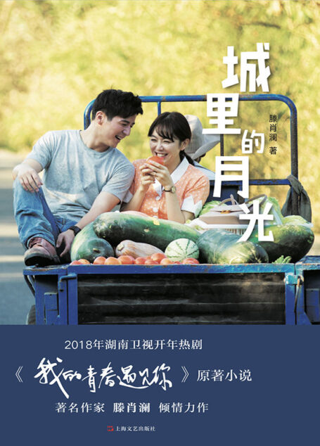 城里的月光【《心居》作者、鲁迅文学奖得主滕肖澜倾情力作!一部写上海浦东人生活的长篇小说,平民百姓的喜怒哀乐,没有什么大风大浪,只有从柴米油盐中渗出的温情,鸡零狗碎里流露出的惬意。】
