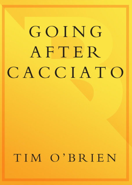 Going After Cacciato