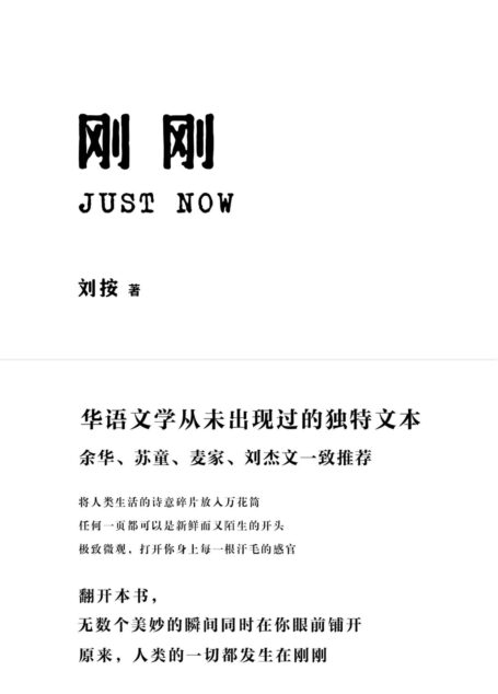 刚刚(余华、苏童、麦家、刘杰文一致推荐!华语文学从未出现过的独特文本)