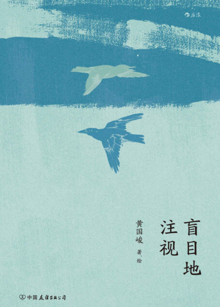 盲目地注视（黄国峻用说书人的笔法，从童话、寓言、传说等民间文学中萃取灵感，书写肉体和灵魂的种种形变！） (后浪·华语文学)