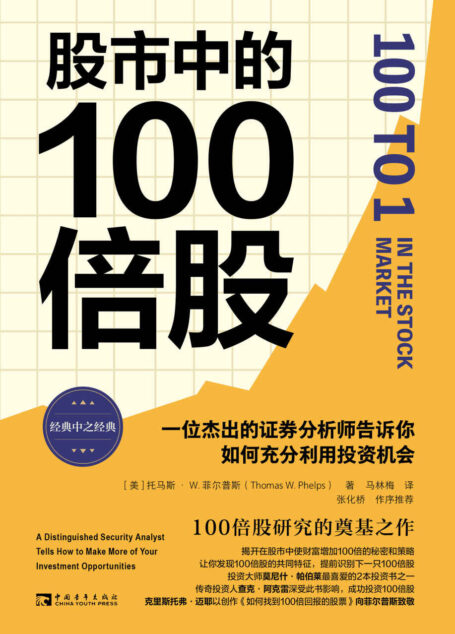 股市中的100倍股:一位杰出的证券分析师告诉你如何充分利用投资机会