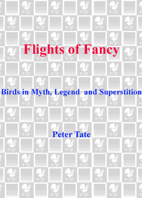 Flights of Fancy