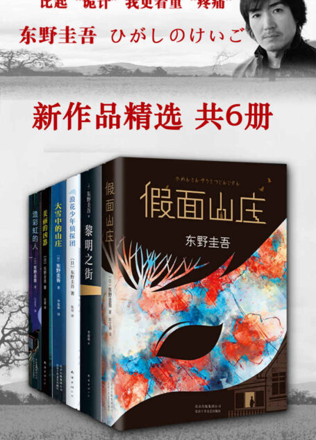 东野圭吾新作品精选(共6册,这样烧脑的长篇推理小说好久不见了!阅读时每当以为已经接近真相,翻到下一页却发现又吃了一惊。)