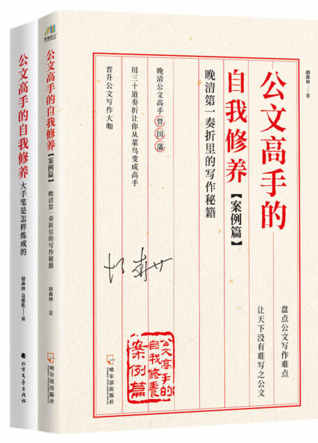 公文高手的自我修养套书(理论篇+实践篇)(内容更新,重点突出,公文写作必备常用书,让你从菜鸟变高手,晋升公文写作大咖!)