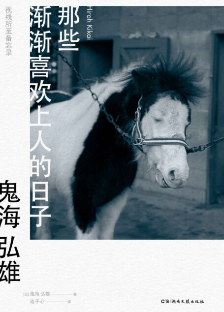 那些渐渐喜欢上人的日子:视线所至备忘录