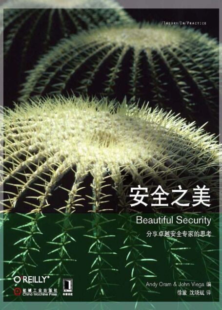 安全之美 (O’Reilly精品图书系列)