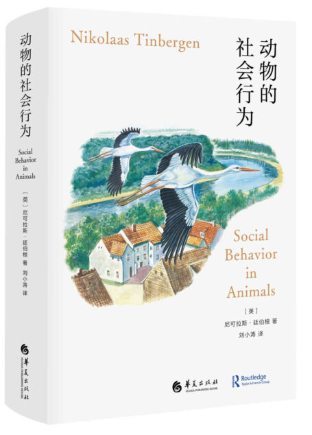 动物的社会行为