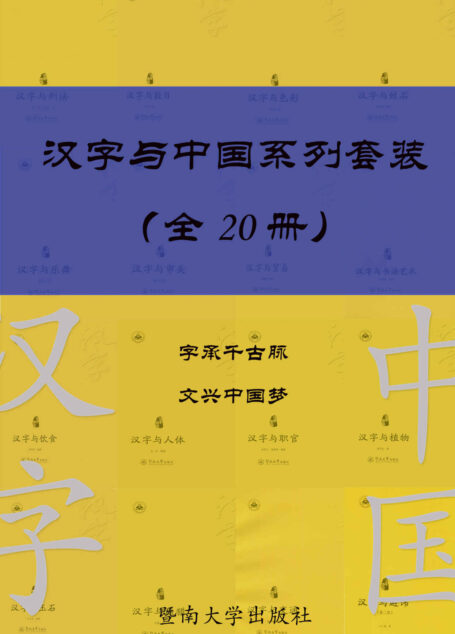 汉字与中国系列套装(共 20 册) (汉字中国)