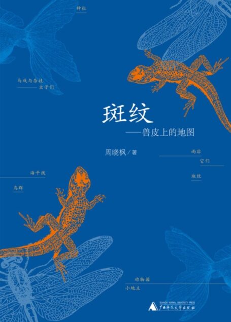 斑纹——兽皮上的地图(鲁迅文学奖、人民文学奖、十月文学奖等奖项得主,著名散文家周晓枫成名之作)