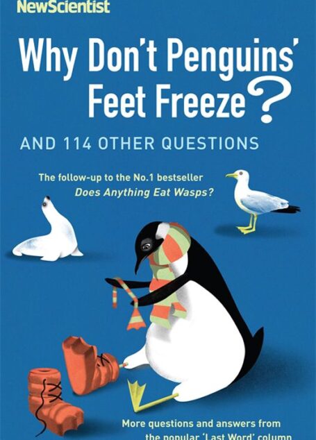 Why Don’t Penguins’ Feet Freeze?