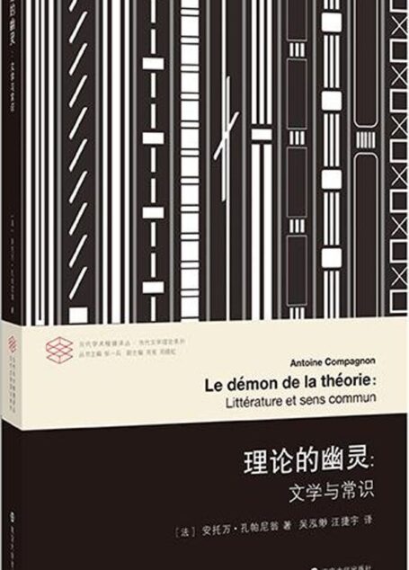 理论的幽灵:文学与常识 (当代学术棱镜译丛)