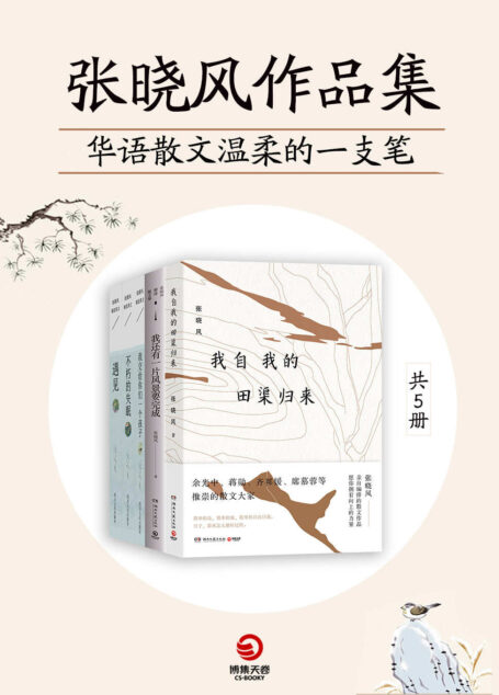 华语散文温柔的一支笔:张晓风作品集(共5册)(给你一种向上的力量。蒋勋、余光中、齐邦媛、席慕蓉等力荐。)