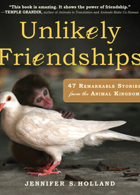 Unlikely Friendships