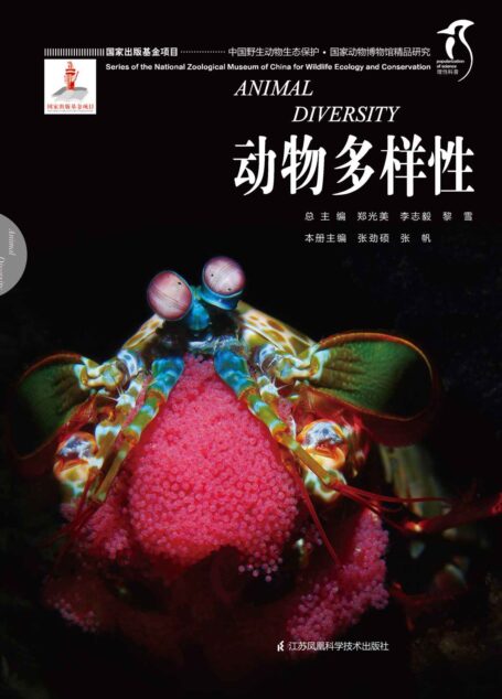 国家动物博物馆精品研究——动物多样性 (中国野生动物生态保护 国家出版基金项目 理性科普)