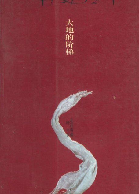大地的阶梯