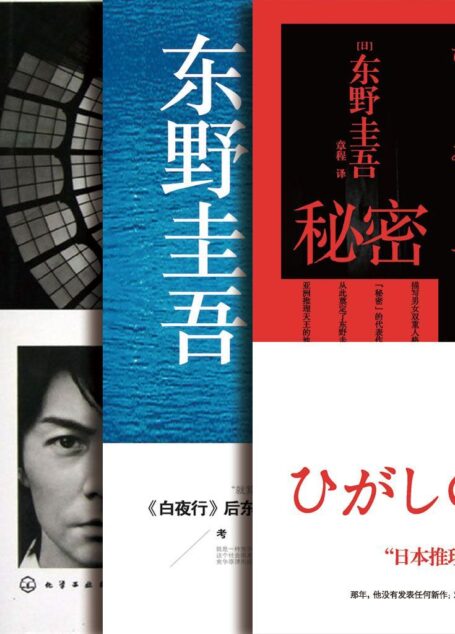 东野圭吾经典小说套装(秘密+湖畔+神探伽利略)