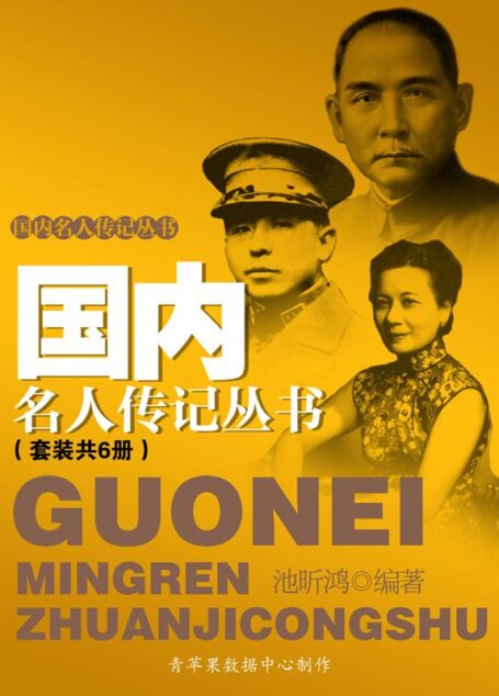 国内名人传记丛书(套装共6册)