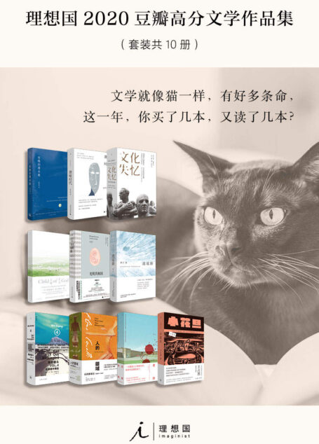 理想国2020年豆瓣高分文学作品集【理想国2020年度最受好评新书】